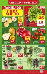 Gazetka promocyjna Aldi - Pełna oferta - Gazetka - ważna od 27.04 do 27.04.2025 - strona 27 - produkty: Sok, Gra, Róża, Granat, Truskawki, Stek, Siatka, Gruszki, Szyna, Bazyl, Bazylia