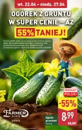 Gazetka promocyjna Aldi - Pełna oferta - Gazetka - ważna od 27.04 do 27.04.2025 - strona 4 - produkty: Ogórek, Z gruntu dobre, Sałat, Grunt, Grill, Fa