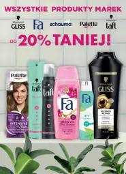 Gazetka promocyjna Dino - Gazetka - ważna od 30.07 do 30.07.2024 - strona 58 - produkty: Palette, Taft, Schauma, Fa