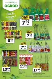 Gazetka promocyjna Auchan - 30 Lat Hipermarket - Gazetka - ważna od 04.03 do 04.03.2026 - strona 10 - produkty: Róża, Fa