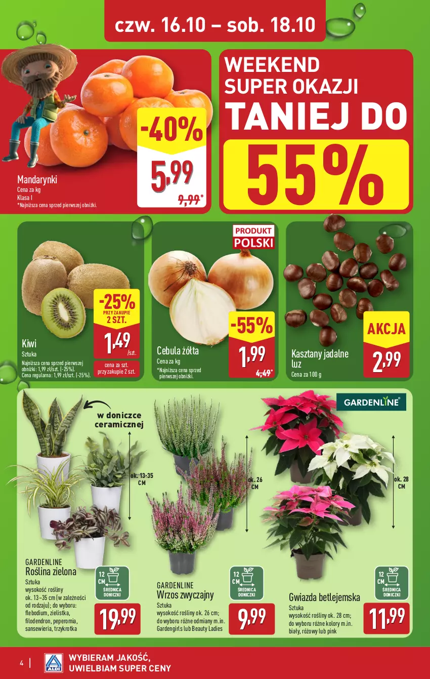 Gazetka promocyjna Aldi - Oferta weekendowa - ważna 16.10 do 18.10.2025 - strona 4 - produkty: Cebula, Gwiazda, Kiwi, Mandarynki, Sok