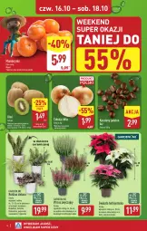 Gazetka promocyjna Aldi - Oferta weekendowa - Gazetka - ważna od 18.10 do 18.10.2025 - strona 4 - produkty: Mandarynki, Cebula, Sok, Kiwi, Gwiazda