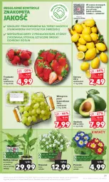 Gazetka promocyjna Kaufland - Od Czwartku - Gazetka - ważna od 21.02 do 21.02.2024 - strona 21 - produkty: Prymula, Dzwonek, Truskawki, Cytryny, Siatka, Winogrona, Wino