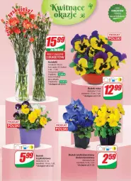 Gazetka promocyjna Dino - Gazetka 12 / 2024 - Gazetka - ważna od 26.03 do 26.03.2024 - strona 55 - produkty: Sok, Bukiet