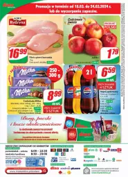 Gazetka promocyjna Dino - Gazetka 12 / 2024 - Gazetka - ważna od 26.03 do 26.03.2024 - strona 71 - produkty: Kurczak, Ser, Filet z piersi kurczaka, Tera, Czekolada, Milka, Fa