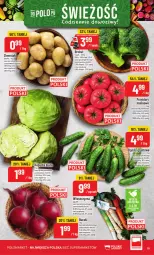 Gazetka promocyjna PoloMarket - Gazetka od 30.09 - Gazetka - ważna od 06.10 do 06.10.2026 - strona 19 - produkty: Ziemniaki, Buraki, Grunt, Pomidory, Fa