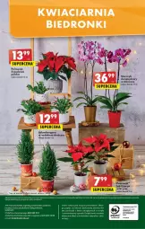 Gazetka promocyjna Biedronka - Gazetka - Biedronka.pl - Gazetka - ważna od 03.12 do 03.12.2022 - strona 56 - produkty: Gra, Telefon, Papier, Poinsecja, Szlumbergera, Napoje, Wazon, , Storczyk