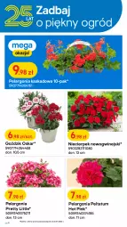 Gazetka promocyjna Castorama - Gazetka - ważna od 03.05 do 03.05.2022 - strona 6 - produkty: Kask, Nawóz, Ogród