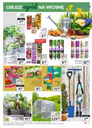 Gazetka promocyjna Carrefour - Gazetka Market - Gazetka - ważna od 13.03 do 13.03.2021 - strona 15 - produkty: Warzywa, Róża, Tunel, Flora, Nawóz, Ogród, Osłonka