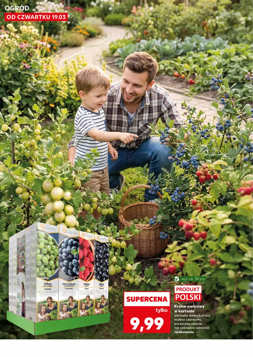 Gazetka promocyjna Kaufland - Kaufland - ważna 19.03 do 25.03.2026 - strona 10 - produkty: Borówka, Borówka amerykańska, Por, Wino