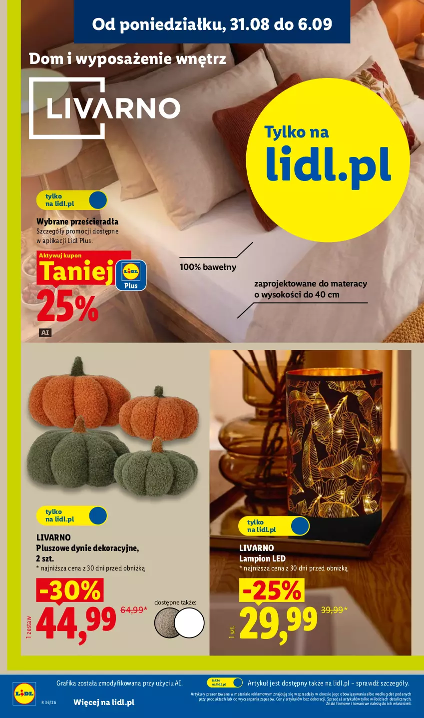 Gazetka promocyjna Lidl - Gazetka ważna od 31.08. do 05.09. - ważna 31.08 do 05.09.2026 - strona 28 - produkty: Gra, Grafika, Ivar, Lampion, Materac, Sok, Tera