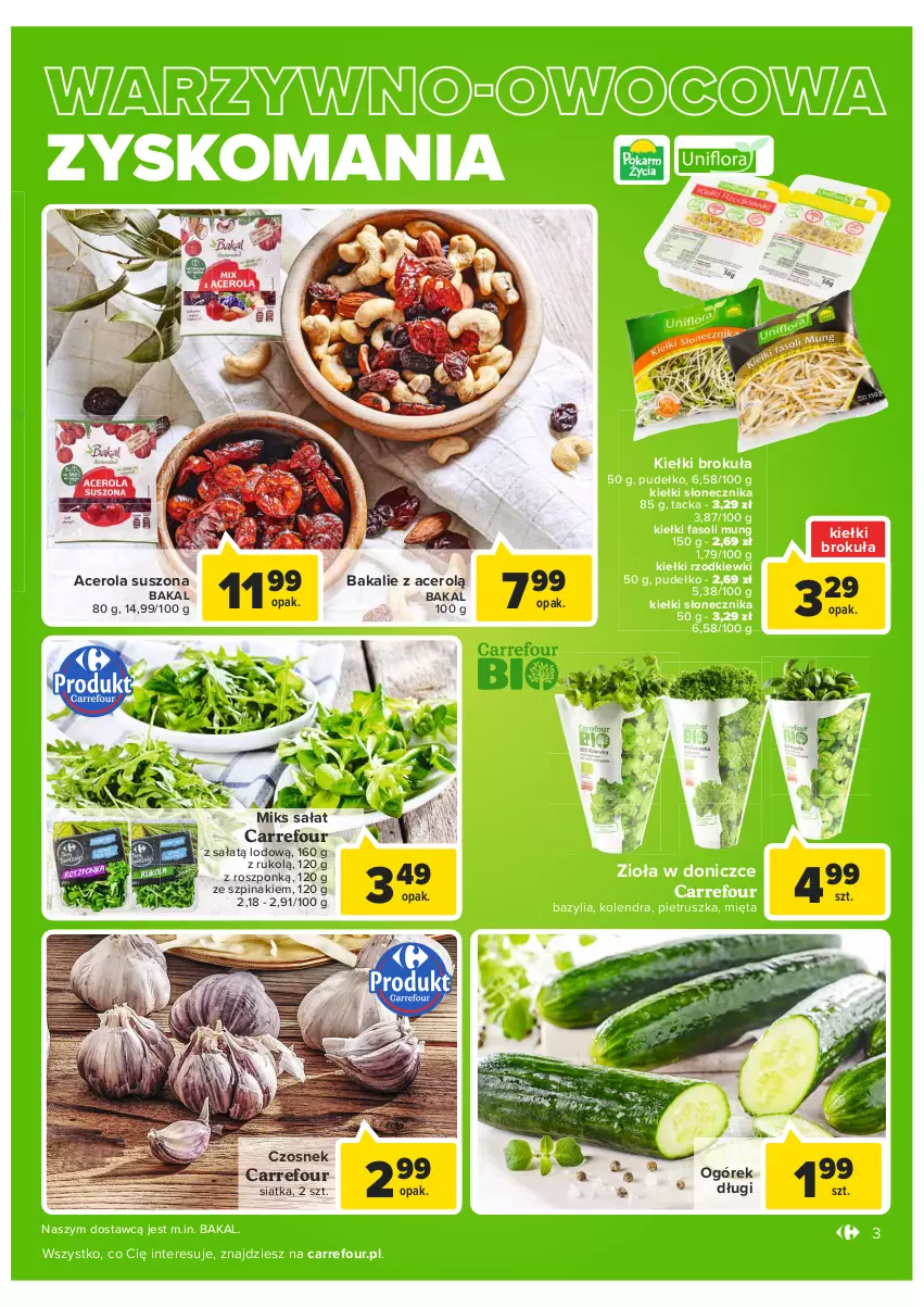 Gazetka promocyjna Carrefour - Gazetka Carrefour Targ świeżości - ważna 11.01 do 17.01.2022 - strona 3 - produkty: Acer, Bazyl, Bazylia, Czosnek, Fa, Fasoli mung, Kiełki, Kolendra, Mięta, Ogórek, Pietruszka, Pudełko, Sałat, Siatka, Szpinak, Zioła w doniczce