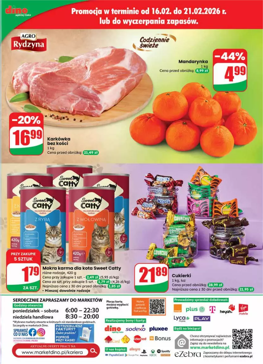 Gazetka promocyjna Dino - Gazetka 08 / 2026 - ważna 18.02 do 24.02.2026 - strona 63 - produkty: Cukier, Cukierki, Mokra karma, Perfum, Ser, Tera