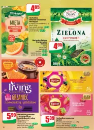 Gazetka promocyjna Dino - Gazetka 08 / 2026 - Gazetka - ważna od 24.02 do 24.02.2026 - strona 10 - produkty: Gra, Lipton, Irving, Herbata, Herbapol