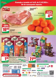 Gazetka promocyjna Dino - Gazetka 08 / 2026 - Gazetka - ważna od 24.02 do 24.02.2026 - strona 63 - produkty: Mokra karma, Ser, Cukier, Perfum, Tera, Cukierki