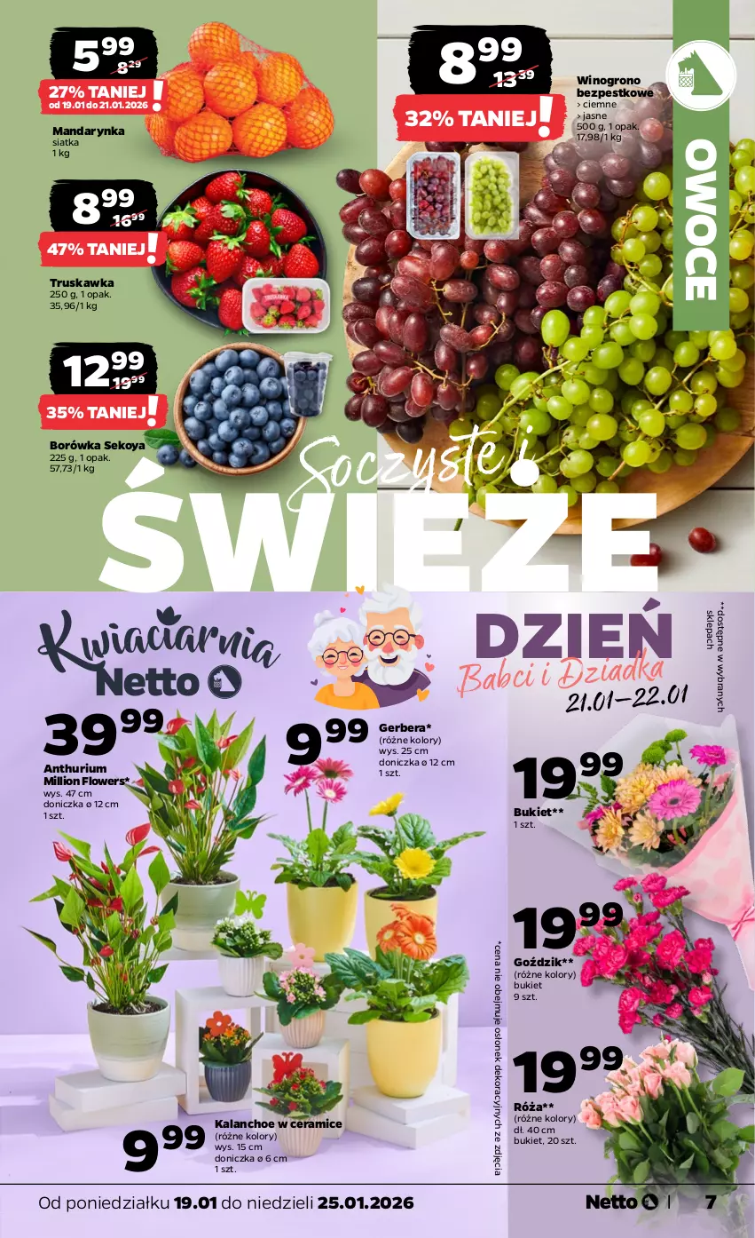 Gazetka promocyjna Netto - Od Poniedziałku - ważna 19.01 do 25.01.2026 - strona 7 - produkty: Borówka, Bukiet, Gerber, K2, Kalanchoe, Lion, Owoce, Róża, SEKO, Siatka, Wino