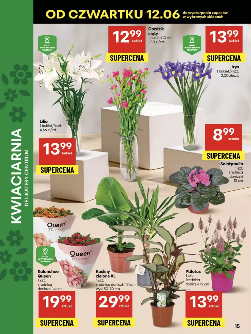 Gazetka promocyjna Delikatesy Centrum - Franczyza DC24 Czwartek - ważna 12.06 do 18.06.2025 - strona 15 - produkty: Bukiet, Kalanchoe