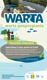 Gazetka promocyjna Lidl - GAZETKA - Gazetka - ważna od 05.10 do 05.10.2022 - strona 17 - produkty: Wazon