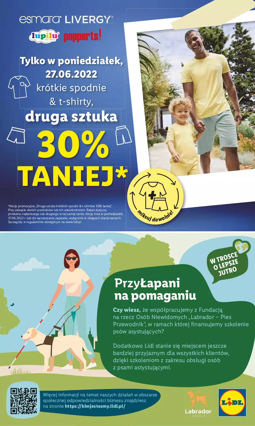 Gazetka promocyjna Lidl - GAZETKA - ważna 27.06 do 29.06.2022 - strona 56 - produkty: Przewodnik, Rama, Spodnie, T-shirt