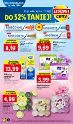 Gazetka promocyjna Lidl - GAZETKA - Gazetka - ważna od 29.06 do 29.06.2022 - strona 52 - produkty: Bell, Podgrzewacze, Scholl, Podpaski, Bella, Sensodyne
