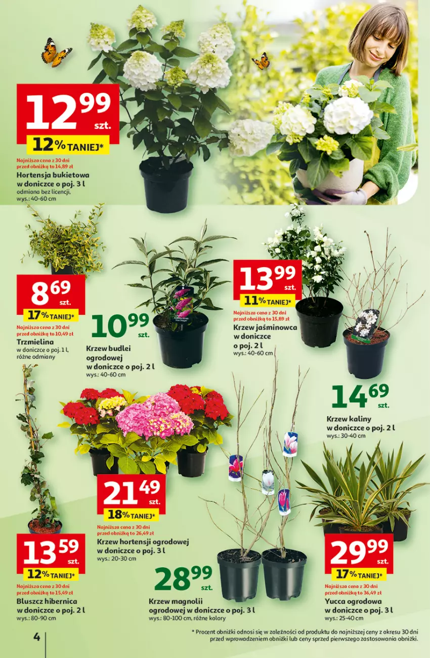 Gazetka promocyjna Auchan - Ogród pełen życia Hipermarket - ważna 13.03 do 26.03.2025 - strona 4 - produkty: Bukiet