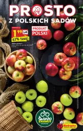 Gazetka promocyjna Biedronka - W tym tygodniu - Gazetka - ważna od 09.10 do 09.10.2021 - strona 17 - produkty: Jabłka