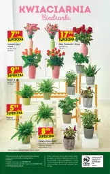 Gazetka promocyjna Biedronka - W tym tygodniu - Gazetka - ważna od 09.10 do 09.10.2021 - strona 64 - produkty: Sok, Gra, BIC, Róża