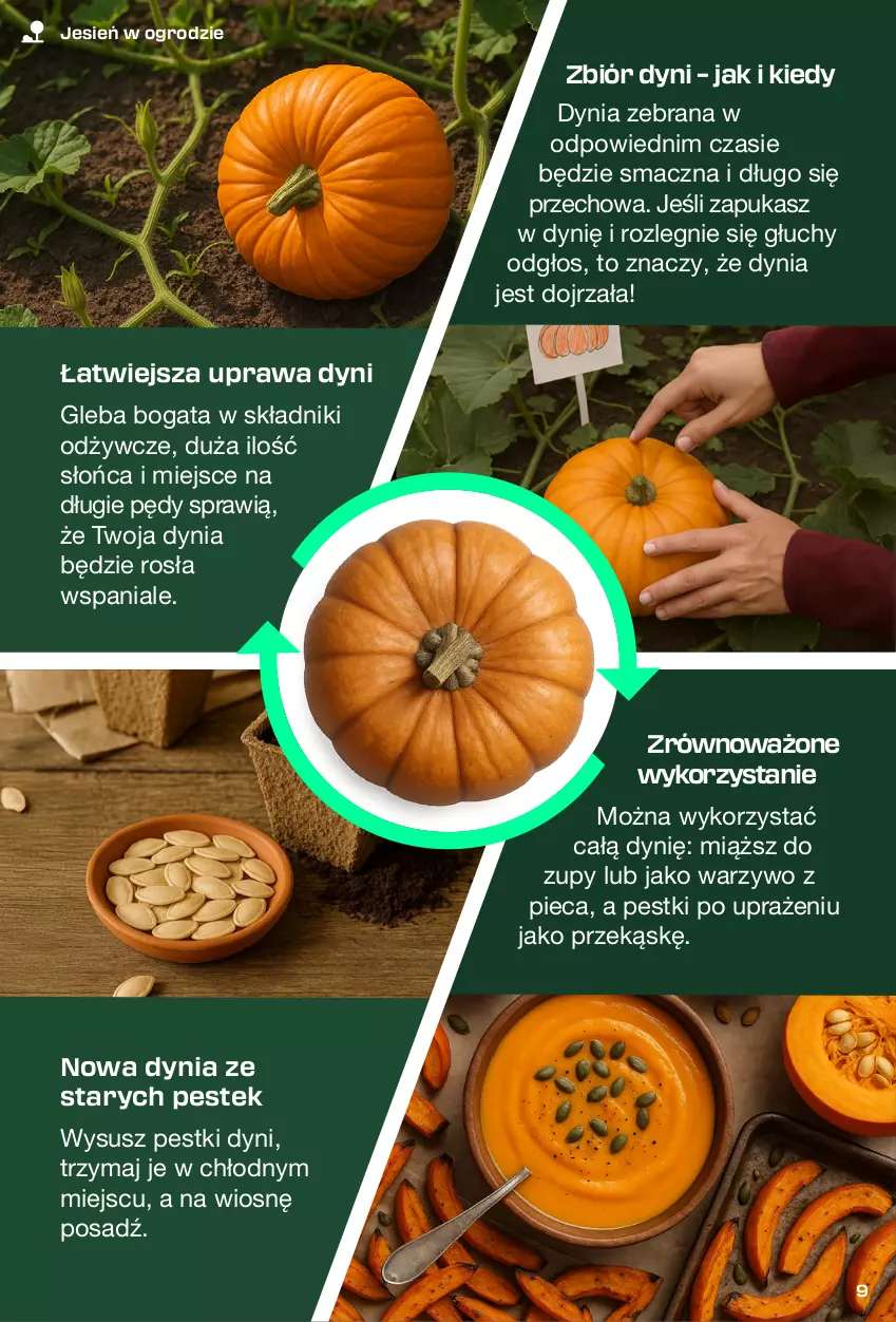 Gazetka promocyjna Kaufland - Kaufland - ważna 04.09 do 01.10.2025 - strona 9 - produkty: Pestki dyni, Piec, Stek
