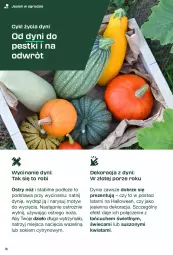 Gazetka promocyjna Kaufland - Kaufland - Gazetka - ważna od 01.10 do 01.10.2025 - strona 8 - produkty: Sok, Por, Noż