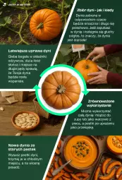 Gazetka promocyjna Kaufland - Kaufland - Gazetka - ważna od 01.10 do 01.10.2025 - strona 9 - produkty: Piec, Stek, Pestki dyni