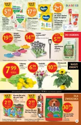 Gazetka promocyjna Delikatesy Centrum - Gazetka DC23 - Gazetka - ważna od 22.06 do 22.06.2022 - strona 31 - produkty: Klapki, Ryż, Tulipan, BoboVita, Pasta do zębów, Bebiko, Chusteczki, Bukiet, Dzieci, Lampa, Szczoteczka, Mleko