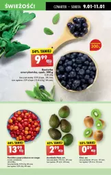 Gazetka promocyjna Biedronka - Od Czwartku - Gazetka - ważna od 15.01 do 15.01.2025 - strona 25 - produkty: Borówka, Borówka amerykańska, Kiwi, Pomidory, Fa
