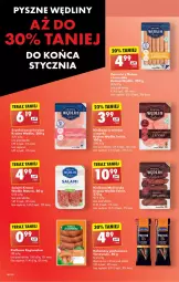 Gazetka promocyjna Biedronka - Od Czwartku - Gazetka - ważna od 15.01 do 15.01.2025 - strona 48 - produkty: Ser, Por, Salami, Parówki, Tera, Szynka konserwowa, Szynka, Kabanos, Kiełbasa, Fa
