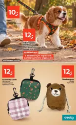 Gazetka promocyjna Dealz - NOWA GAZETKA - Gazetka - ważna od 23.09 do 23.09.2026 - strona 45 - produkty: Zabawka, Saszetka na przysmaki, Przysmaki