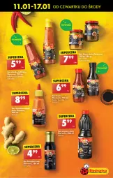 Gazetka promocyjna Biedronka - Od czwartku - Gazetka - ważna od 17.01 do 17.01.2024 - strona 41 - produkty: Sos, Ananas