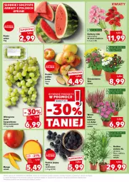 Gazetka promocyjna Kaufland - Kaufland - Gazetka - ważna od 21.08 do 21.08.2024 - strona 7 - produkty: Por, Gerber, Chryzantema, Jeżyny, Winogrona, Arbuz, Wino, Jabłka