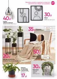 Gazetka promocyjna Pepco - Nowa kolekcja - Gazetka - ważna od 21.09 do 21.09.2022 - strona 11 - produkty: Pled, O nas, Obraz, Poduszka, Lampa, Osłonka