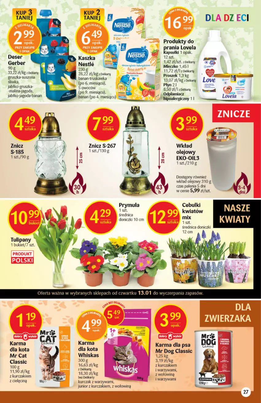 Gazetka promocyjna Delikatesy Centrum - Gazetka DC02 - ważna 13.01 do 19.01.2022 - strona 27 - produkty: Bukiet, Deser, Gerber, Kurczak, Lovela, Mleczko, Olej, Prymula, Ser, Tulipan, Warzywa, Whiskas, Wkład olejowy, Znicz