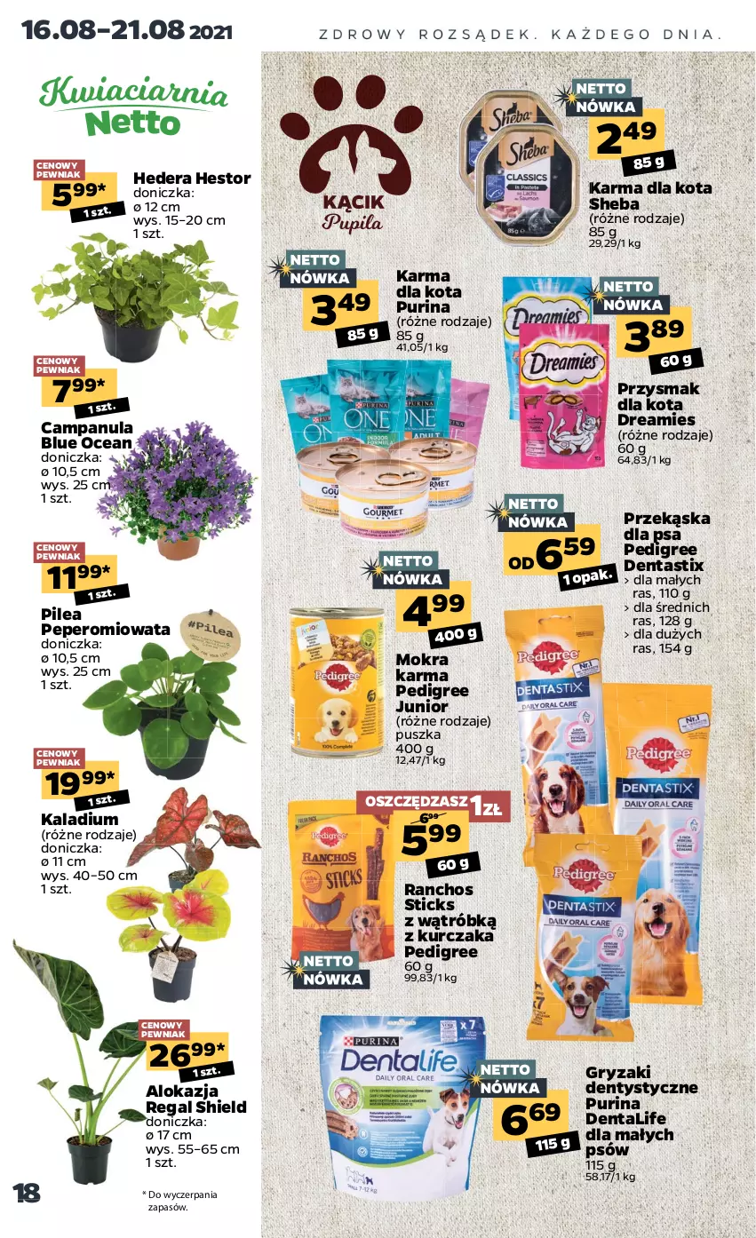 Gazetka promocyjna Netto - ważna 16.08 do 21.08.2021 - strona 18 - produkty: Campanula, Gry, Kurczak, Mokra karma, Pedigree, Przysmak dla kota, Pur, Purina, Sheba