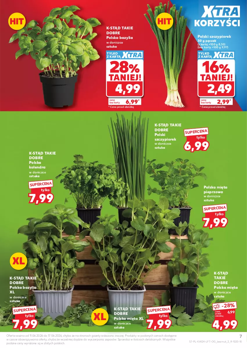 Gazetka promocyjna Kaufland - Gazetka tygodnia - ważna 11.06 do 17.06.2026 - strona 7 - produkty: Bazyl, Bazylia, Kolendra, Mięta, Pieprz