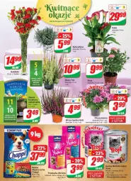 Gazetka promocyjna Dino - Gazetka - Gazetka - ważna od 21.09 do 21.09.2021 - strona 16 - produkty: Vitakraft, Róża, Chryzantema, Bukiet, Fa