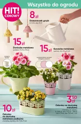 Gazetka promocyjna Pepco - Kolorowe dresy - Gazetka - ważna od 26.02 do 26.02.2025 - strona 6 - produkty: Konewka, Rękawice, Lampa, Irygator, Osłonka