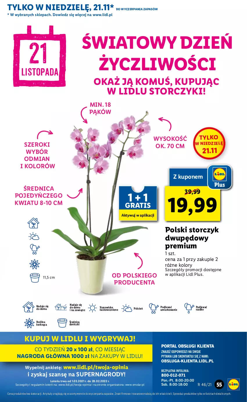 Gazetka promocyjna Lidl - GAZETKA OD 18.11 DO 21.11 - ważna 18.11 do 21.11.2021 - strona 55 - produkty: Cień, Gra, Gry, Mola, O nas, Sok, Storczyk, Top