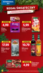 Gazetka promocyjna Lidl - GAZETKA - Gazetka - ważna od 22.11 do 22.11.2023 - strona 32 - produkty: Torebka, Herbata czarna, Regał, Miód, Syrop, Irving, Herbata, Ogród, Herbapol, Imbir