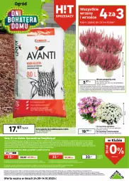 Gazetka promocyjna Leroy Merlin - Gazetka Leroy Merlin - Gazetka - ważna od 14.10 do 14.10.2025 - strona 24 - produkty: Top, Sok, Ser, Gra, Rama, Chryzantema, Kosz, Ogród, Sprzedawcy, LG