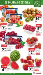 Gazetka promocyjna Intermarche - Gazetka - ważna od 12.08 do 12.08.2024 - strona 9 - produkty: Kiwi, Nektarynka, Candy, Arbuz, Wino, Nektar