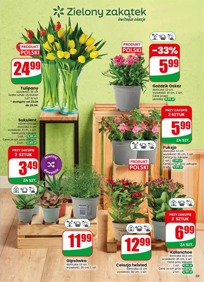 Gazetka promocyjna Dino - Gazetka 17 / 2026 - ważna 22.04 do 28.04.2026 - strona 59 - produkty: Bukiet, Kalanchoe, Sok, Sukulent, Tulipan