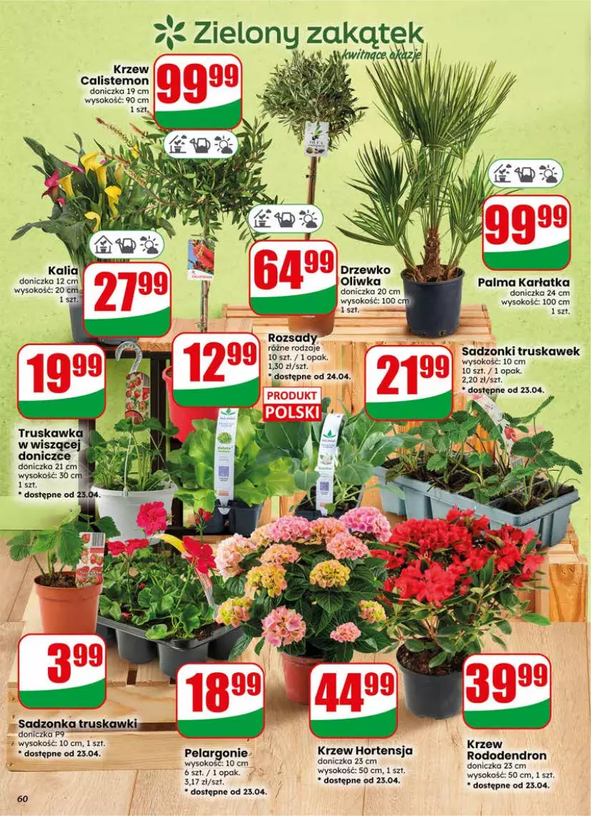 Gazetka promocyjna Dino - Gazetka 17 / 2026 - ważna 22.04 do 28.04.2026 - strona 60 - produkty: Palma, Sok, Truskawki