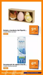 Gazetka promocyjna Action - Gazetka - ważna od 19.03 do 19.03.2024 - strona 15 - produkty: Tera