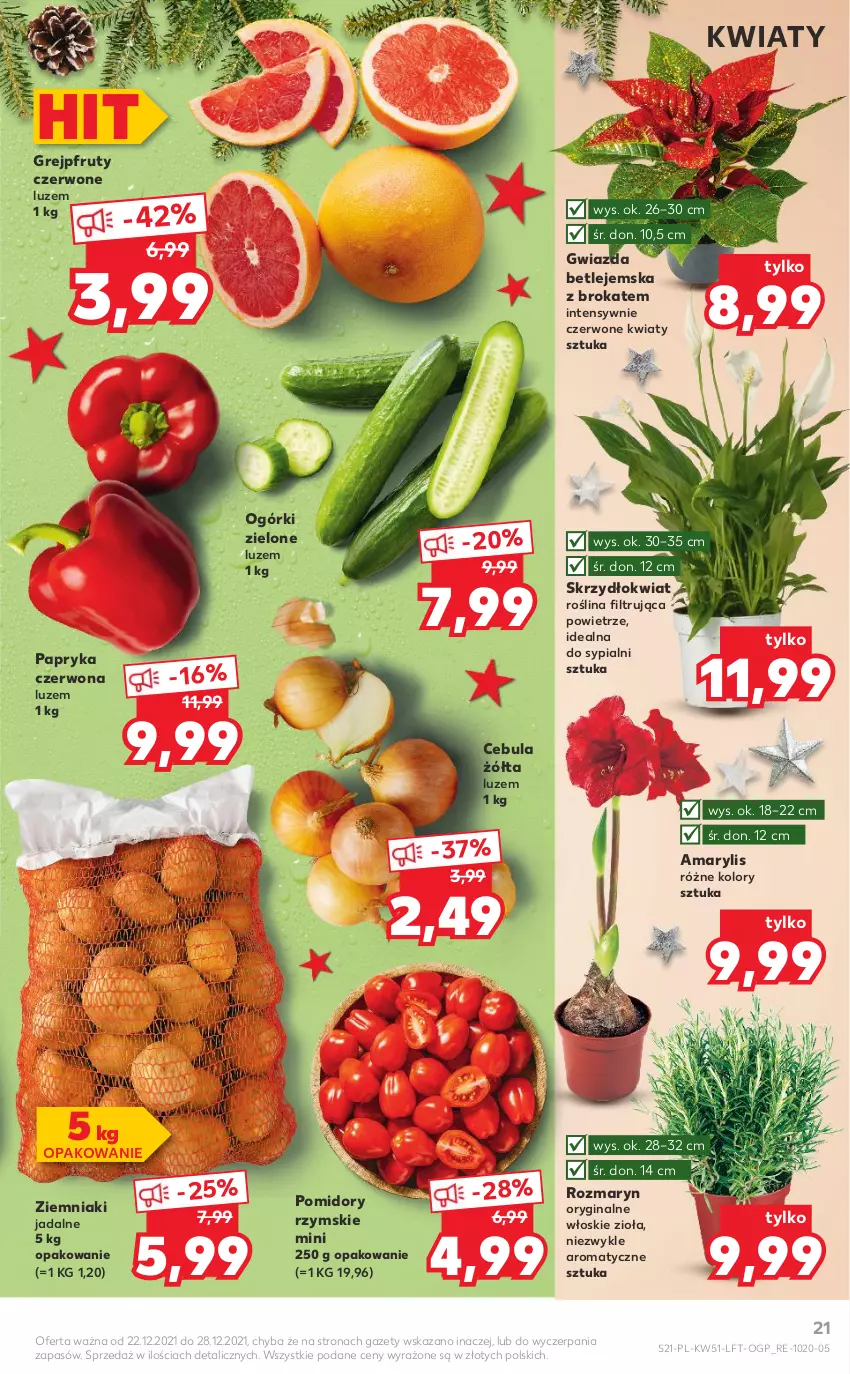 Gazetka promocyjna Kaufland - OFERTA TYGODNIA - ważna 22.12 do 28.12.2021 - strona 21 - produkty: Amarylis, Cebula, Gin, Grejpfrut, Gwiazda, Papryka, Papryka czerwona, Pomidory, Ziemniaki